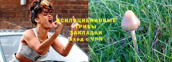 mix Богородицк