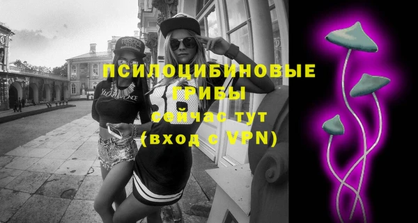 mix Богородицк