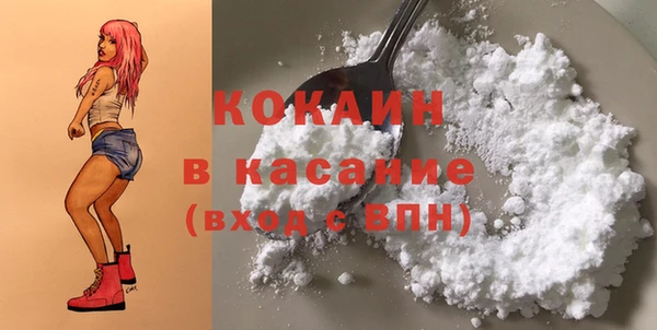 mix Богородицк